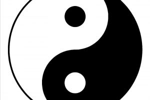 D189-YIN-YANG-SYMBOL-YING-YANG-WALL-ART-ROOM-STICKER-VINYL-DECAL-Vinyl-Movable-Wall-Sticker